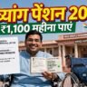 bihar divyang pension online apply